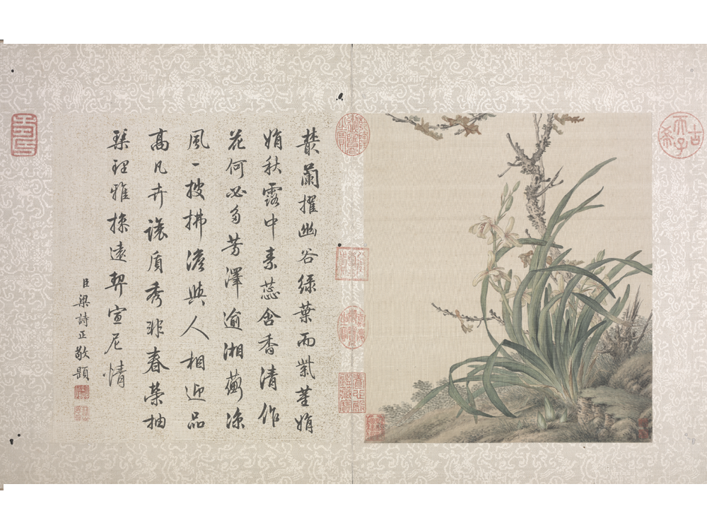 图片[3]-Lang Shining Flowers and Birds Illustrated Books-China Archive